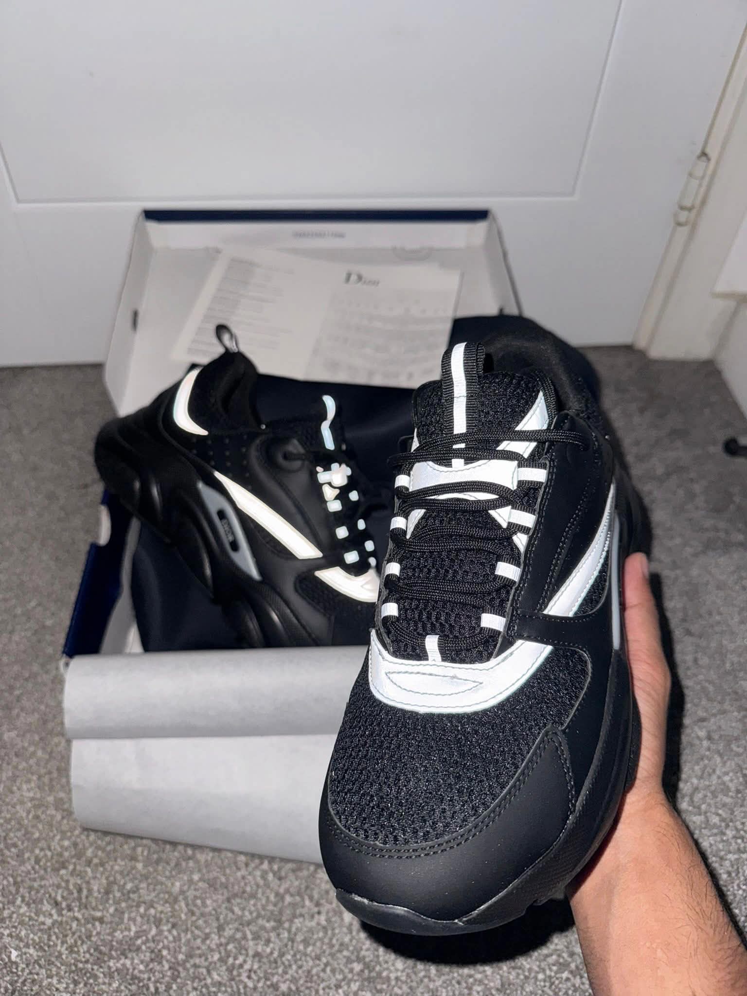 Dior B22s
