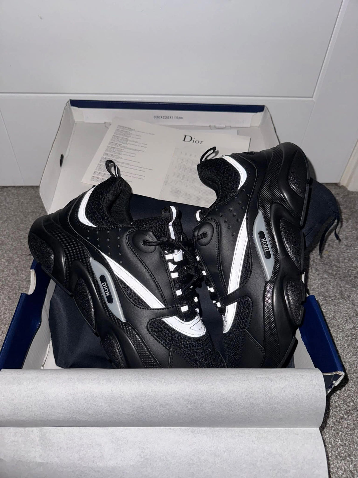 Dior B22s