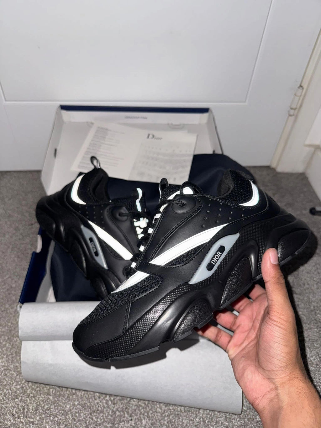Dior B22s