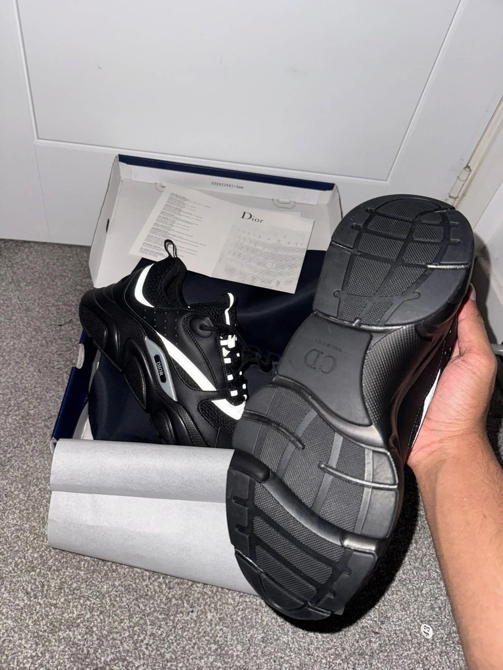Dior B22s