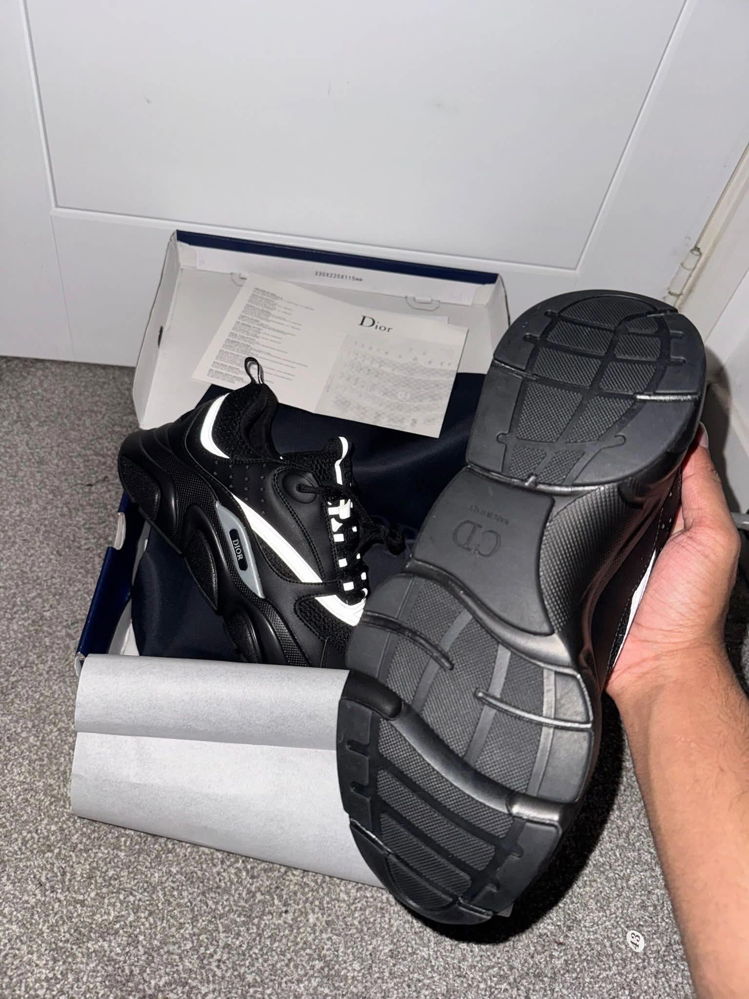 Dior B22s