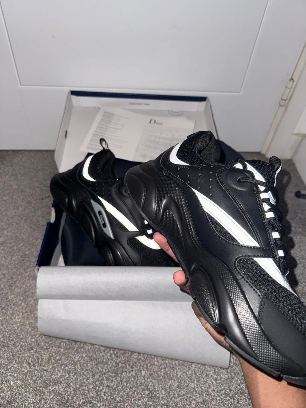 Dior B22s